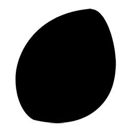 리프의돌